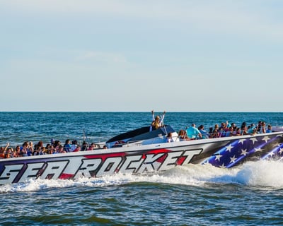 Ocean City High-Speed Dolphin Watching Cruise