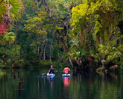 Wildlife Paddling on Silver River with Shuttle