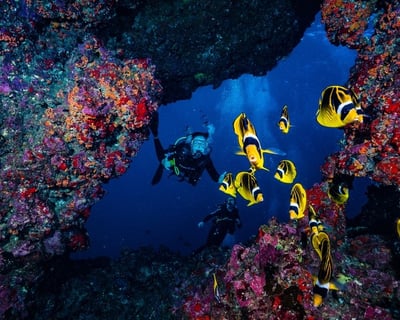 Dive Lanai Cathedrals 2-Tank Boat Dive From Maui