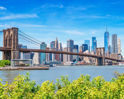 Brooklyn Bridge & DUMBO 2-Hour Guided Walking Tour