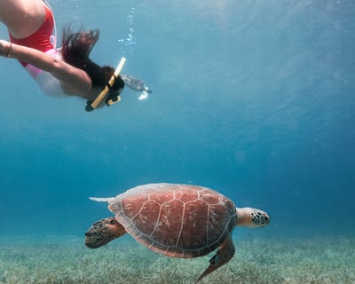 Guided Culebra Island Snorkeling Tour