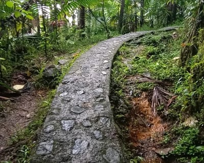El Yunque National Forest Guided Tour