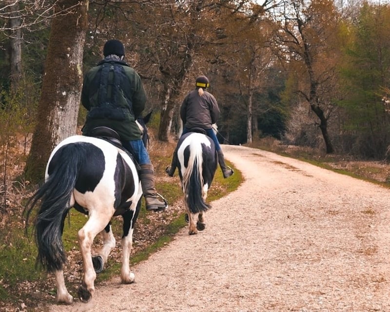 Private Western Horseback Riding Lesson in Sayreville, NJ