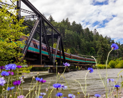 Spring Train Ride on the Mt. Hood Railroad