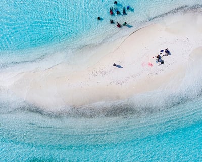 Islamorada Sandbar Cruise