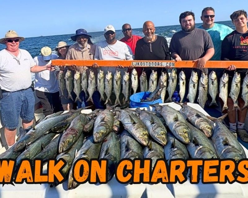 6-Hour Solomons Fishing Charter