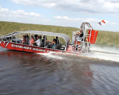 Everglades Airboat & Wildlife Tour From Miami