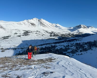 Guided Snowshoe Tour in Chugach State Park