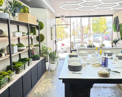 Moss Bowl Workshop in Brooklyn