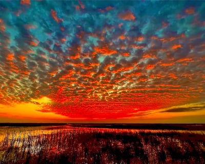 1-Hour Florida Everglades Airboat Tour