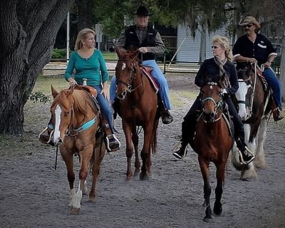 Pinellas Park 1-Hour Guided Horseback Trail Ride