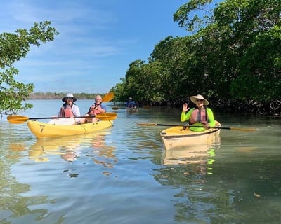 Big Cypress Alligators & Orchids Kayak Tour