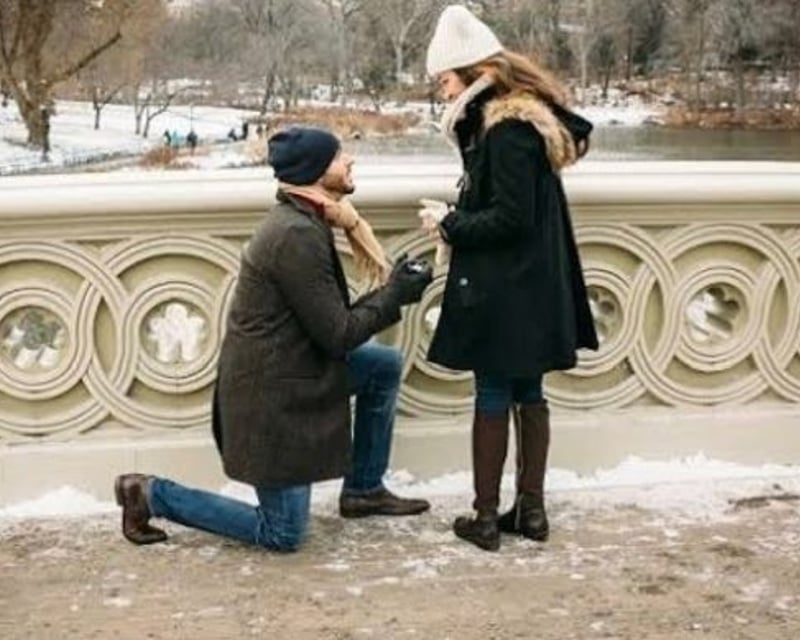 Central Park Proposal Carriage Tour