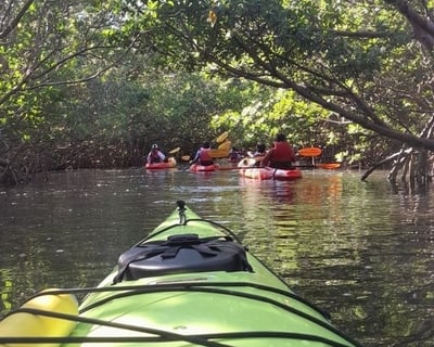 Single Kayak Rental in Dania Beach
