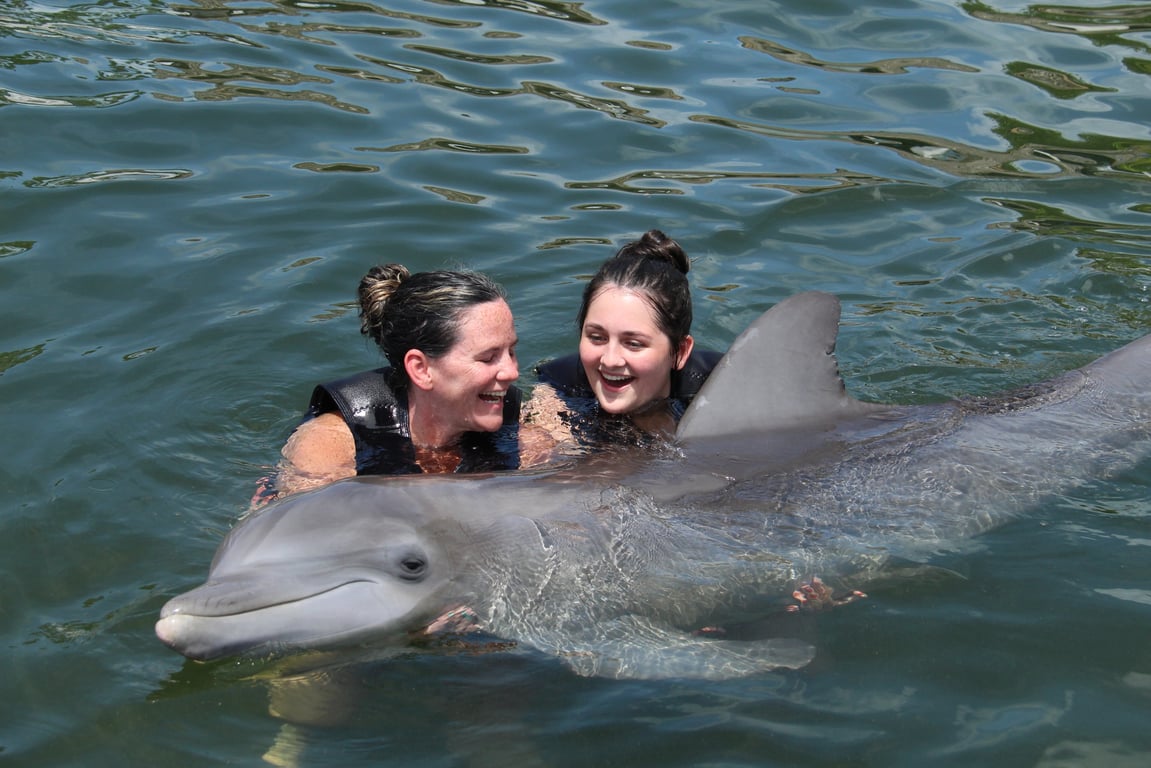 Key Largo Dolphin Swim & Conservation Program