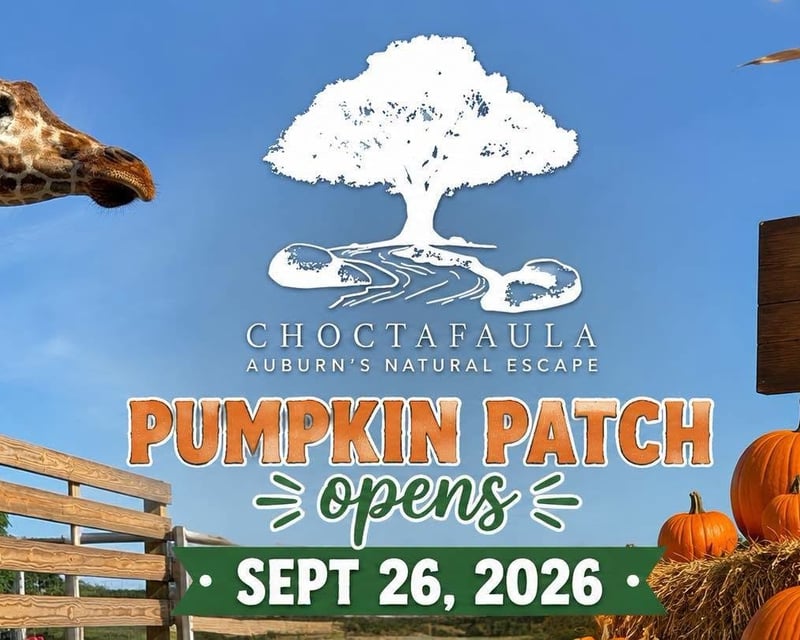Pumpkin Patch & Safari Wagon Tour in Auburn, AL