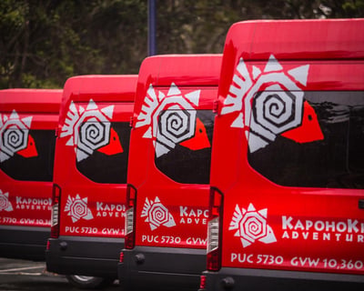 Private Custom Van Tour From Kona