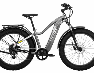 Explore Union Pier on an E-Bike Rental