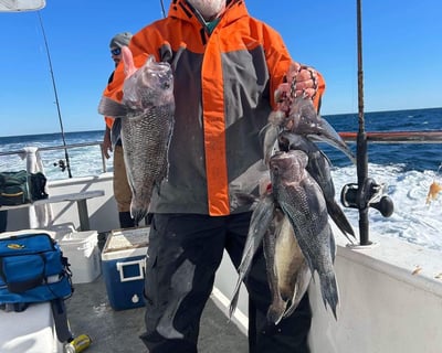 10-Hour Ocean Fishing Trip in Avalon