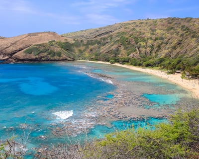 Hanauma Bay Snorkeling Tour and Lesson