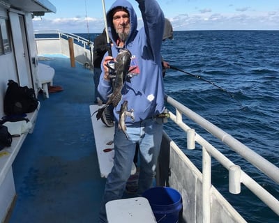 Sea Bass Fishing Trip in Sea Isle City