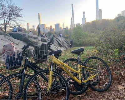 Guided Central Park Bike Tour in New York City