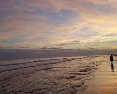 Guided Sunset Horseback Ride on Waites Island