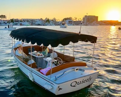 Newport Beach 12-Passenger Electric Boat Rental