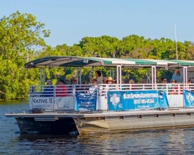 1-Hour St. Johns River Nature Cruise