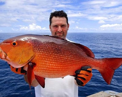 Private Fishing Charters from Fort Morgan Marina