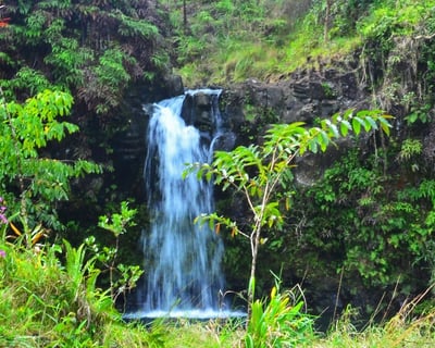 Half-Day Road to Hana Guided Tour