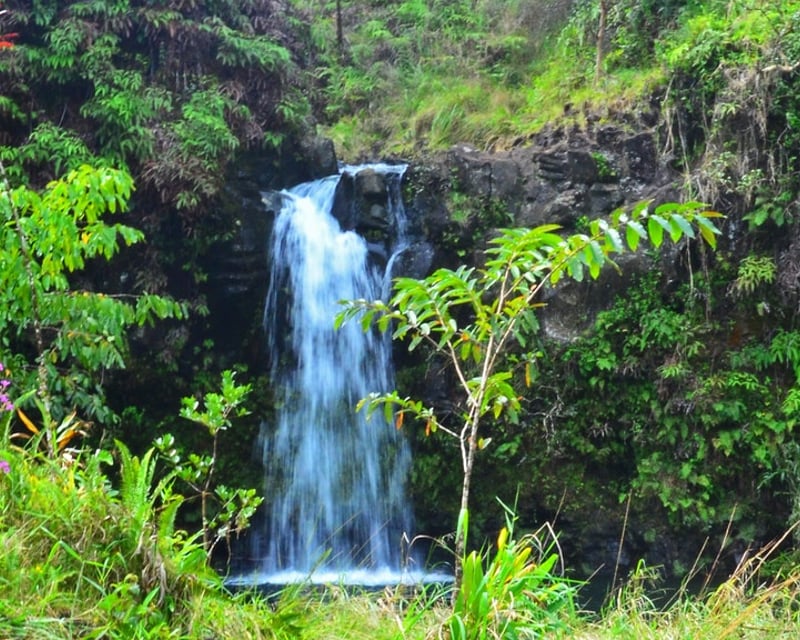 Half-Day Road to Hana Guided Tour