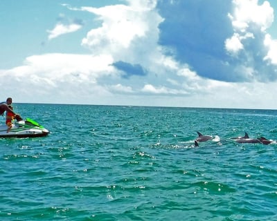 Jet Ski Dolphin Tour in Santa Rosa Sound
