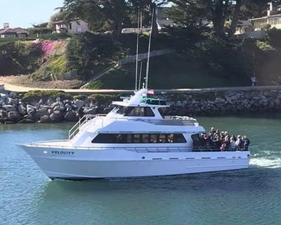 5-Hour Deep Sea Cod Fishing Trip in Santa Cruz