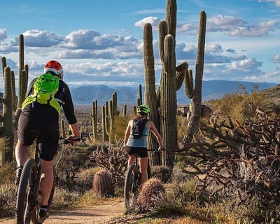 3-Hour Private Guided Mountain Bike Tour in Scottsdale