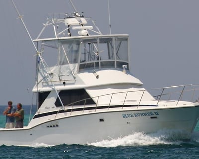 4-Hour Inshore Trolling Trip