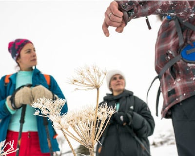 6-Mile Guided Snowshoe Tour in Chugach State Park