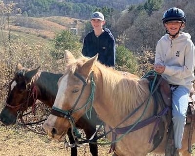 3-Hour Guided Horseback Trail Ride in Marshall