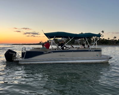 Keewaydin Island Shelling & Dolphin Cruise From Naples