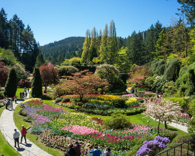 Explore Victoria & Butchart Gardens From Vancouver