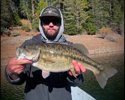 Half Day Bass Fly Fishing in Sierra Foothills