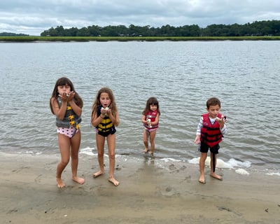 Hilton Head Beachcombing & Dolphin Cruise