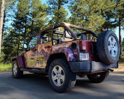 Open-Top Scenic Byway Jeep Tour from State Game Lodge