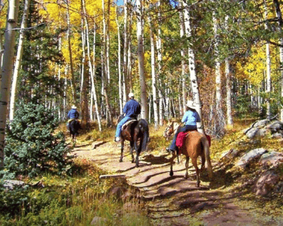 90-Minute Guided Horseback Ride
