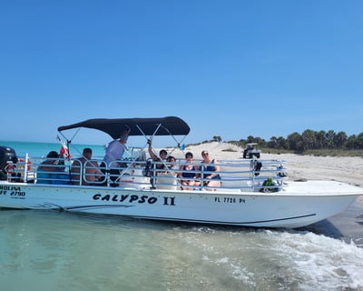 Private Shell Key Dolphin & Shelling Tour