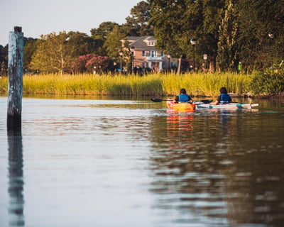 Norfolk Single Sit-On-Top Kayak Rental
