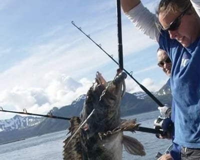 5-Hour Rockfish Fishing Charter From Seward