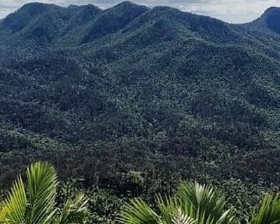 El Yunque Waterslides & Luquillo Beach Tour