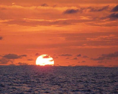 Fort Myers Beach Private Sunset Sail