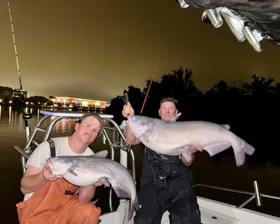 Catch Catfish Under the DC Skyline at Night